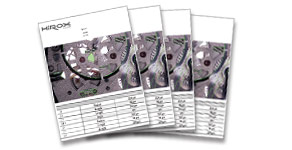 Easy reporting with templates