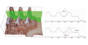 profile and cut sections